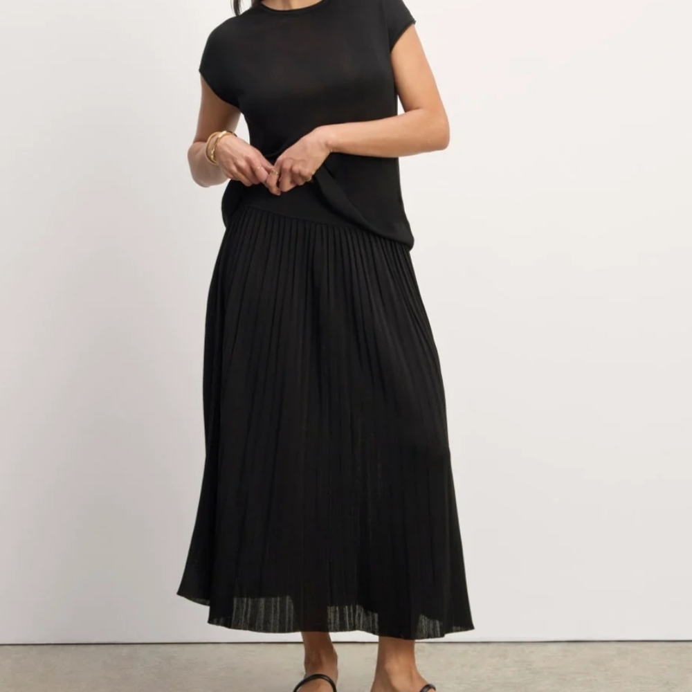 Everlane Pleated Skirt
